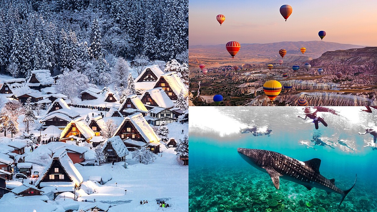 入境台灣免隔離！旅行社超佛自由行、團費一次看，還能免費辦護照，最低2萬有找