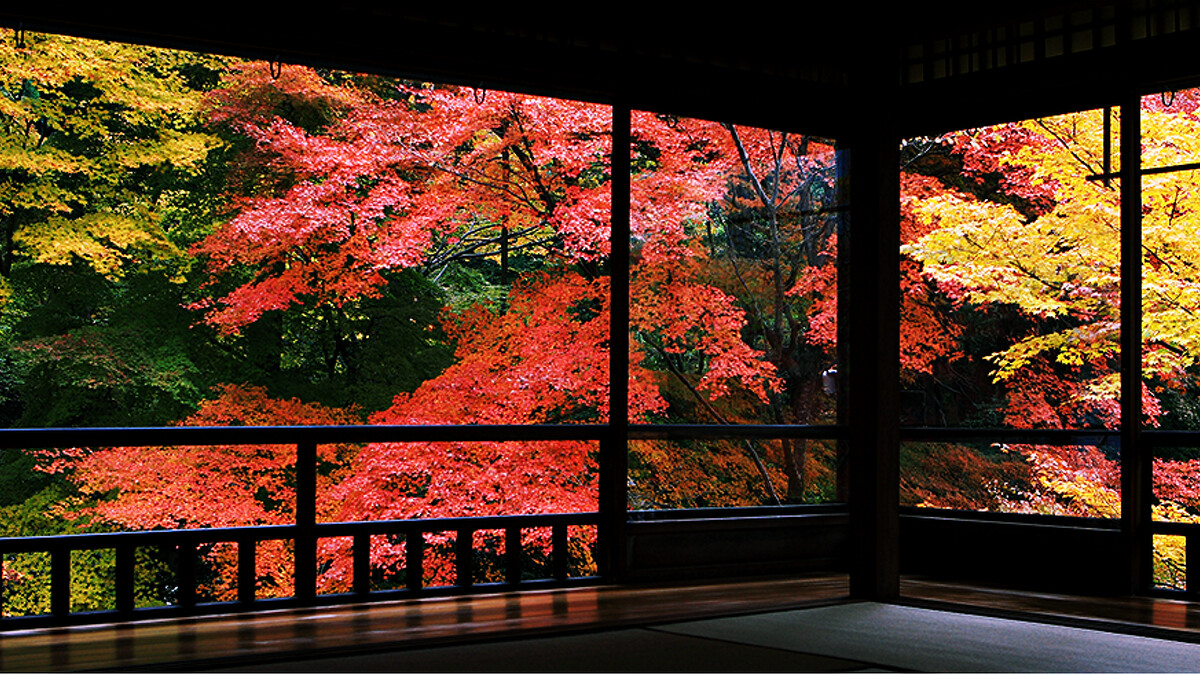 Photo/rurikoin.komyoji.com