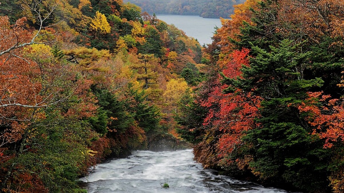 Photo/nikko.4-seasons.jp