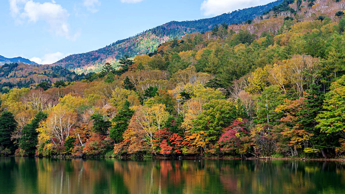 Photo/www.visitnikko.jp