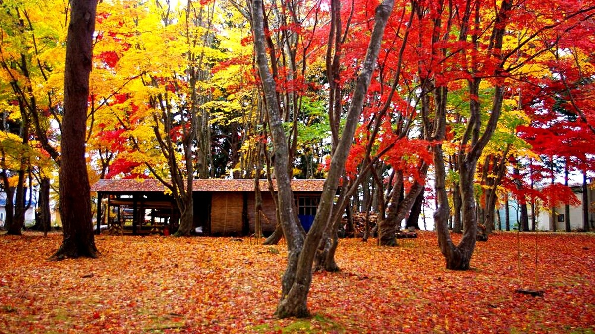 Photo/www.hakodate.travel