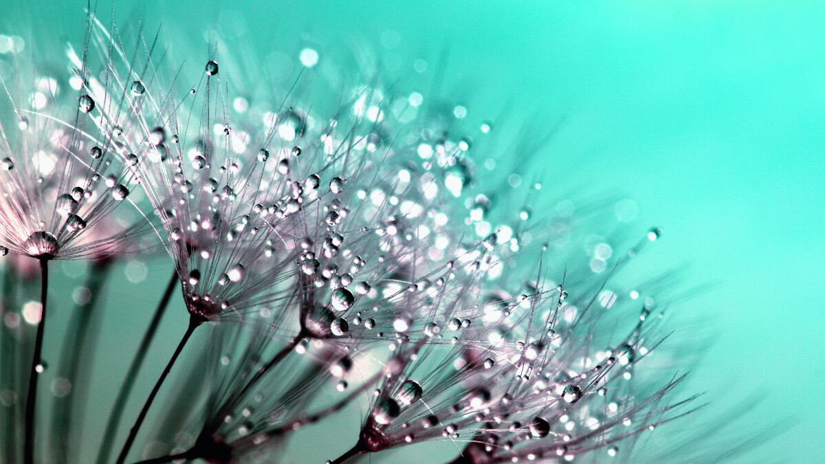 2022寒露到！涼爽轉寒冷秋意濃 油膩辛辣食物、冷飲恐傷身