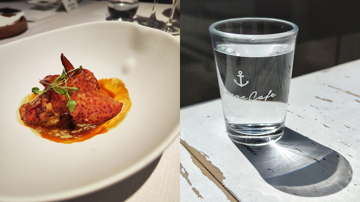 使用「人像模式」拍攝。Photo／使用Xiaomi 12T Pro拍攝