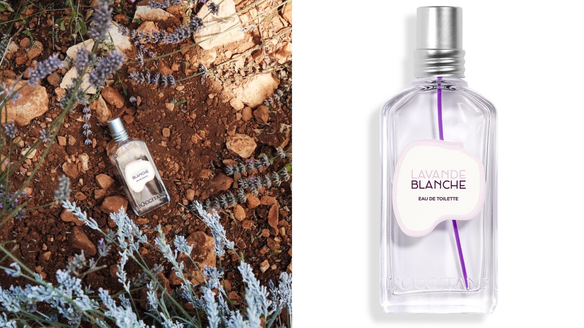 歐舒丹L&rsquo;OCCITANE白薰衣草淡香水50ml，NT2,100