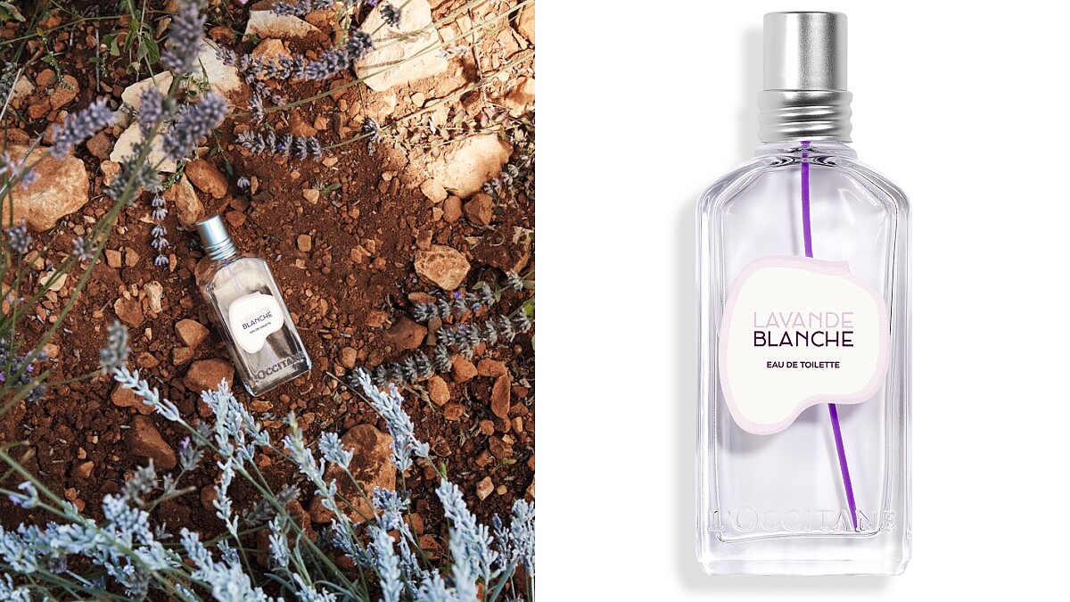 歐舒丹L’OCCITANE白薰衣草淡香水50ml,NT2,100