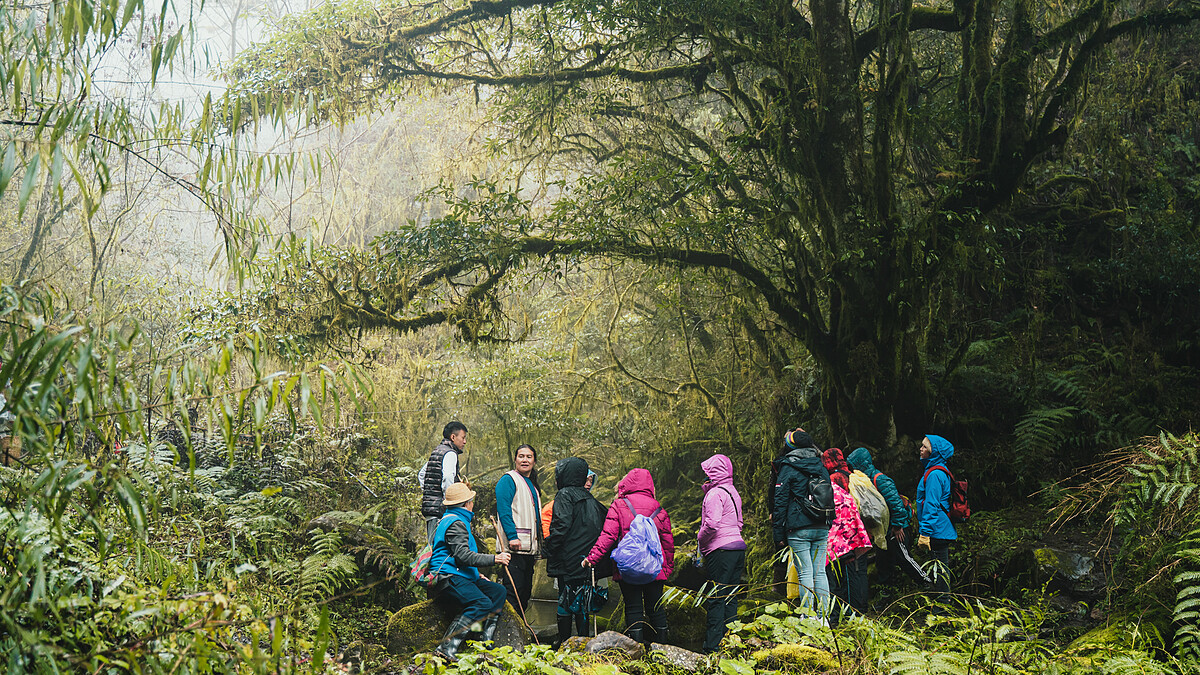 《哈勇家》思源埡口