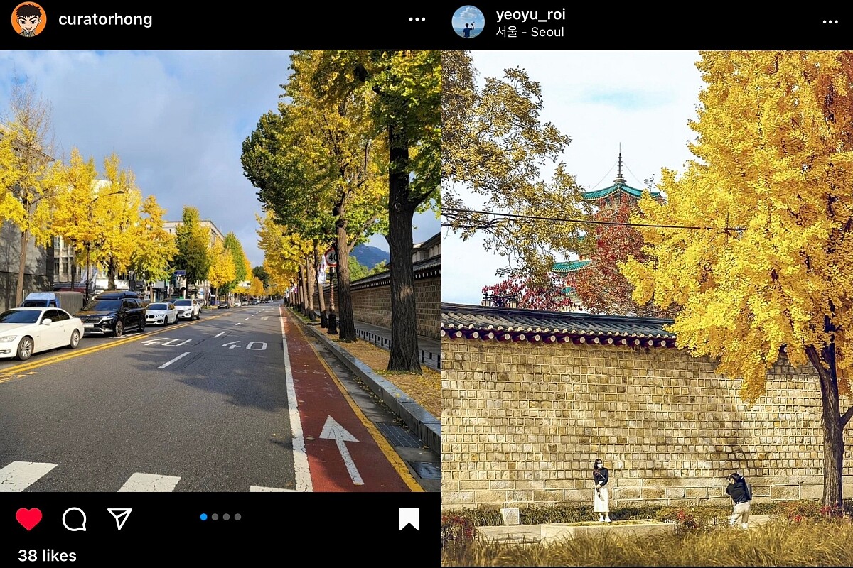 景福宮石牆路。