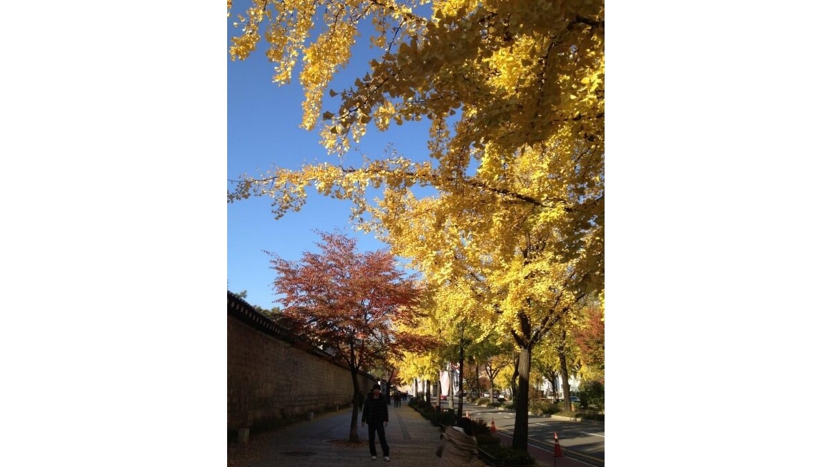 景福宮石牆路。