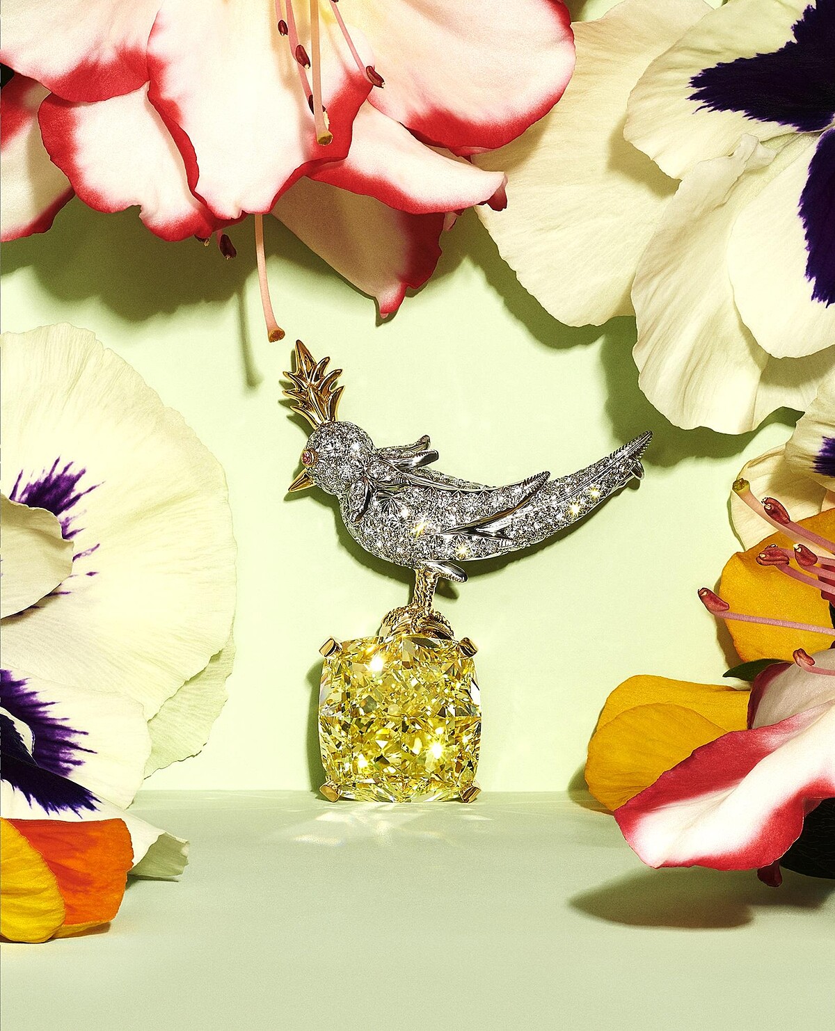 Tiffany & Co. Blue Book BOTANICA 高級珠寶系列石上鳥胸針，鉑金與18K金鑲嵌逾16克拉濃彩黃鑽。