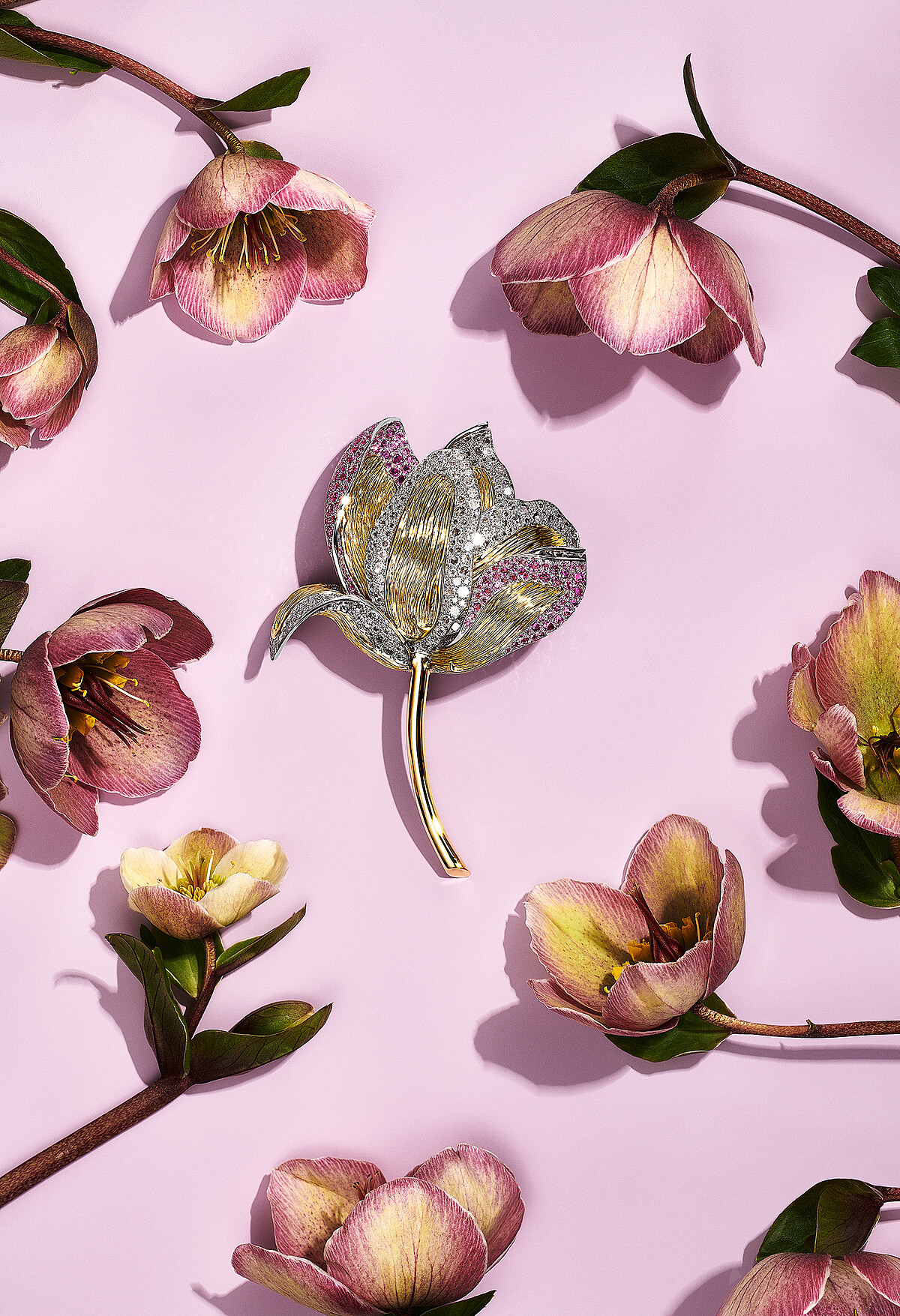 Tiffany & Co. Blue Book BOTANICA 高級珠寶系列鉑金和18K金胸針，鑲嵌粉紅色藍寶石和鑽石。