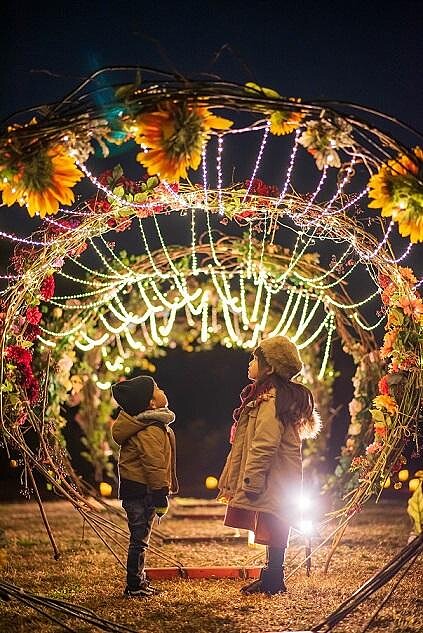 花卉裝飾在夜晚點燈後，呈現出溫馨氛圍