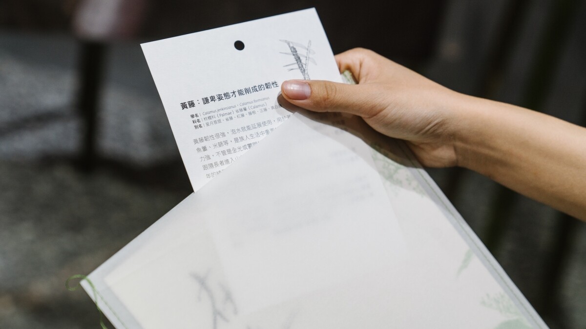 展場提供收納信封「採集」4大展區植物。