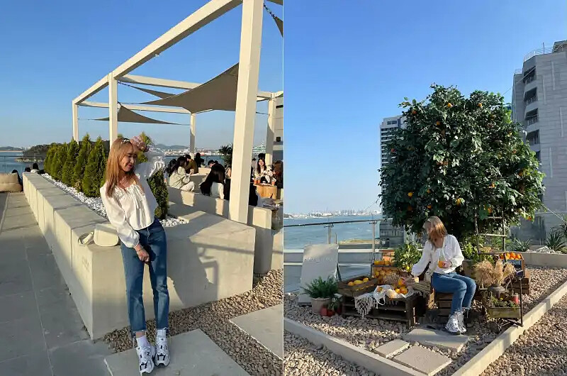 頂樓平台景色&網紅樹（圖／@ruofan21）