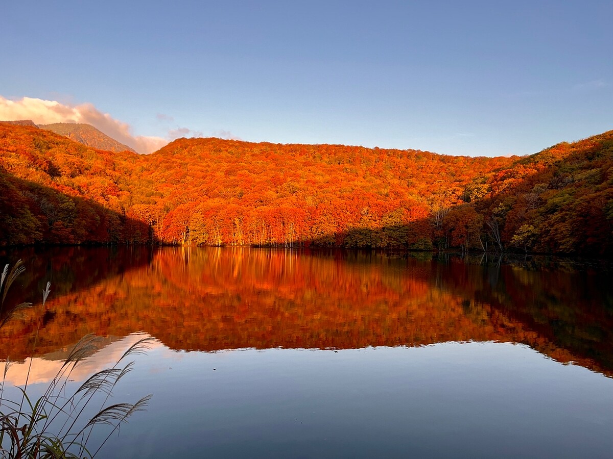 日出後太陽逐漸升起。