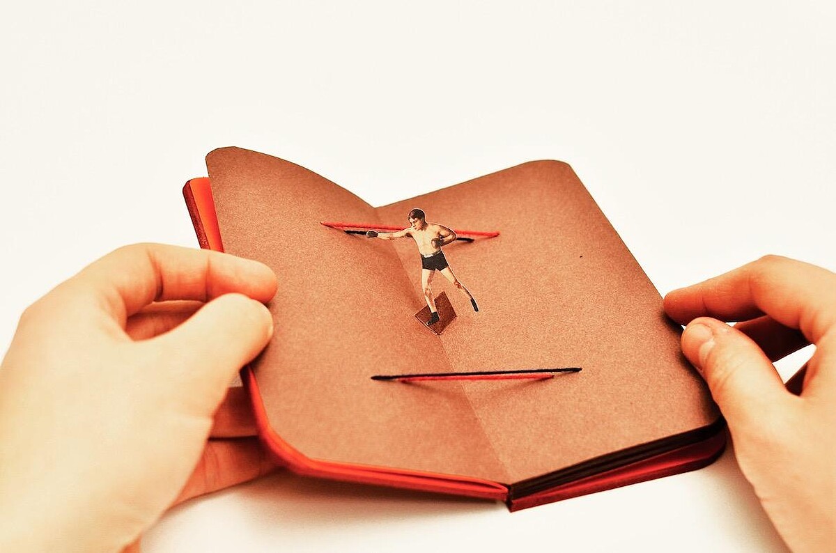 Libri Finti Clandestini + 5X Letterpress