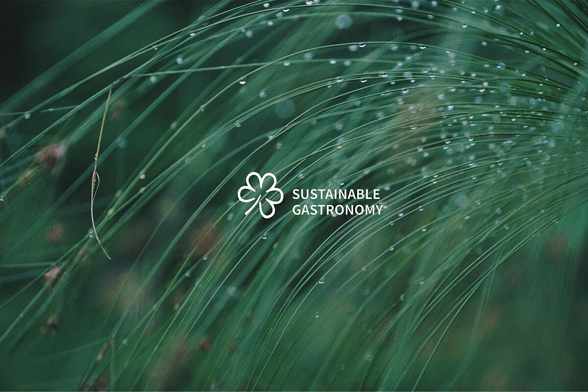 獲得米其林綠星餐廳 EMBERS。