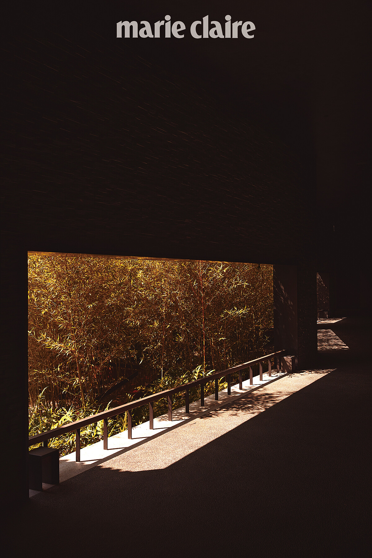 竹林搖曳的迴廊空間搭配光影變化，美不勝收。