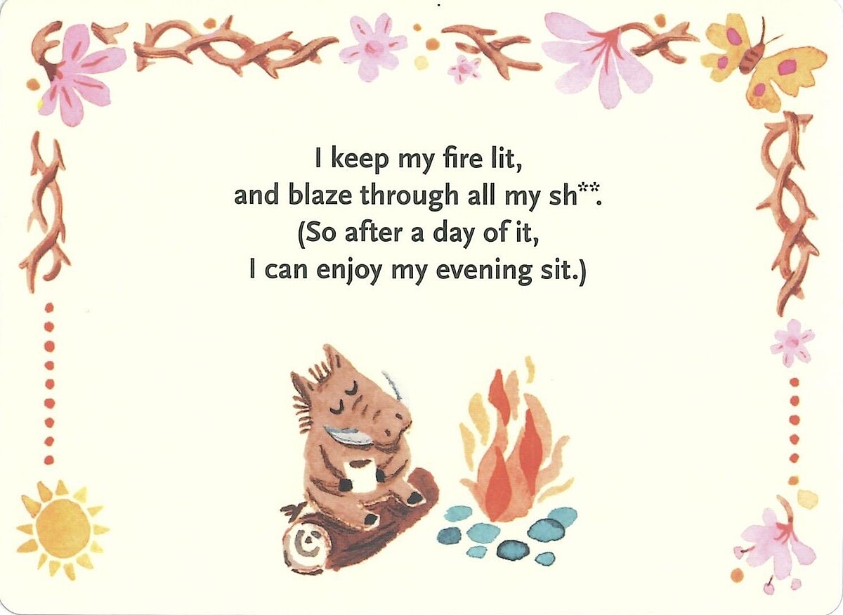 （Image and excerpt from Affirmators! Morning Mantras courtesy of &copy; Knock Knock LLC）