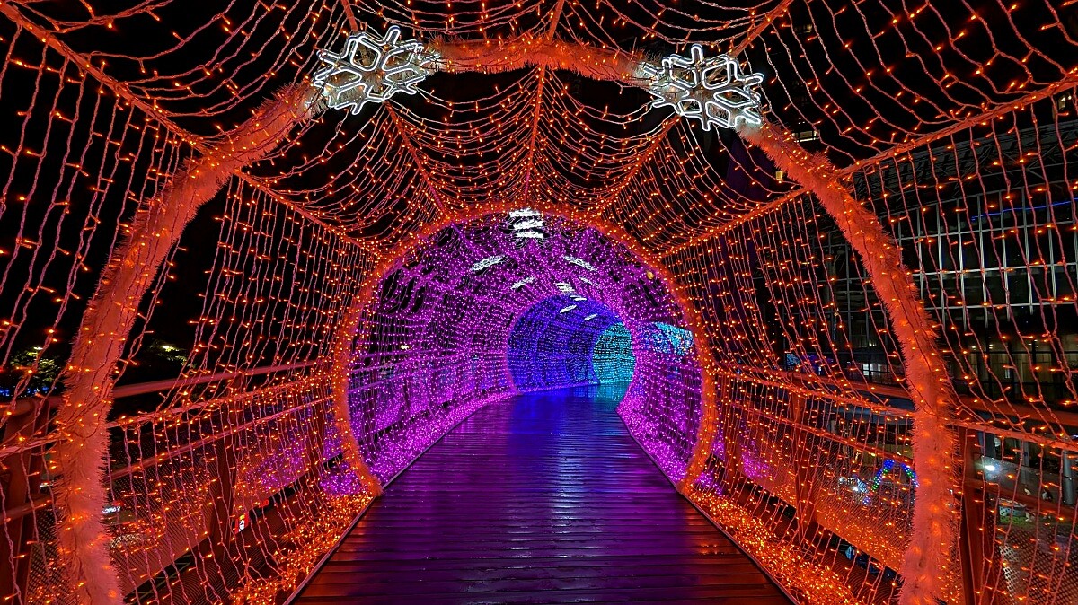 此圖用Google Pixel 7拍攝