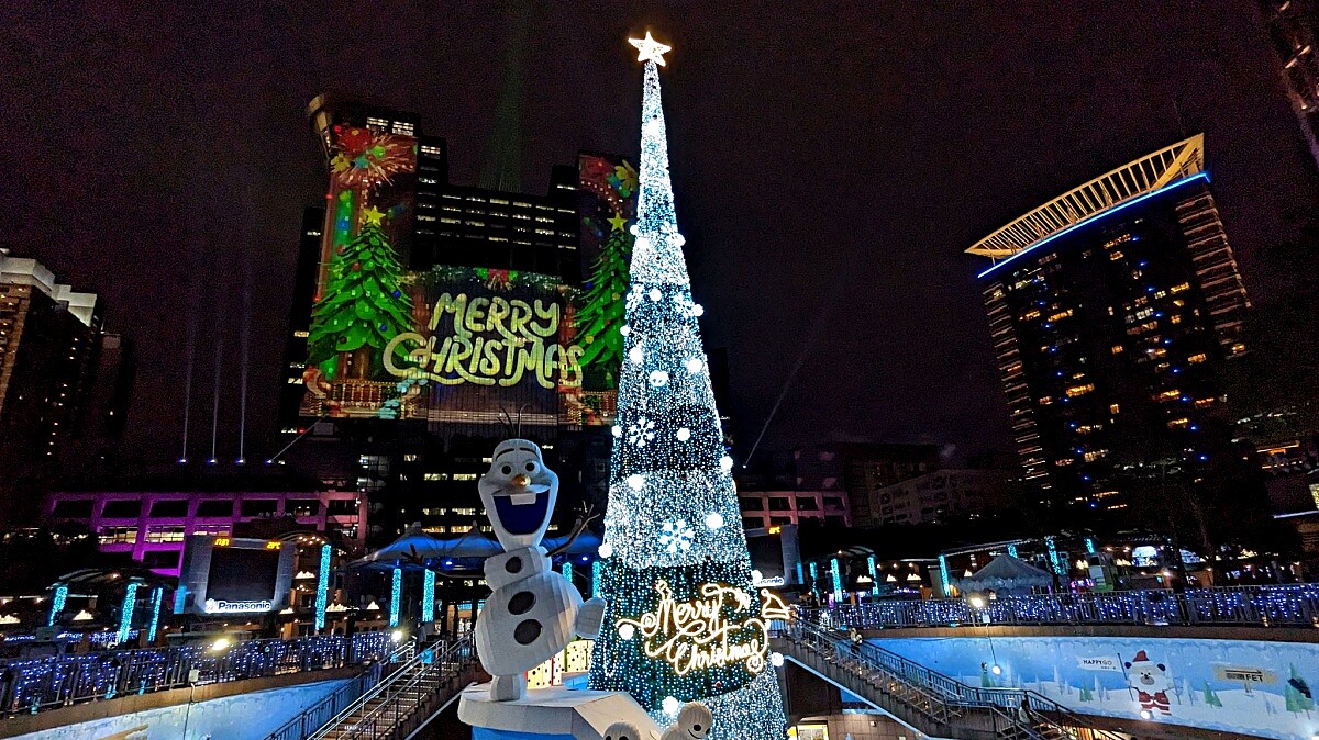 此圖用Google Pixel 7拍攝