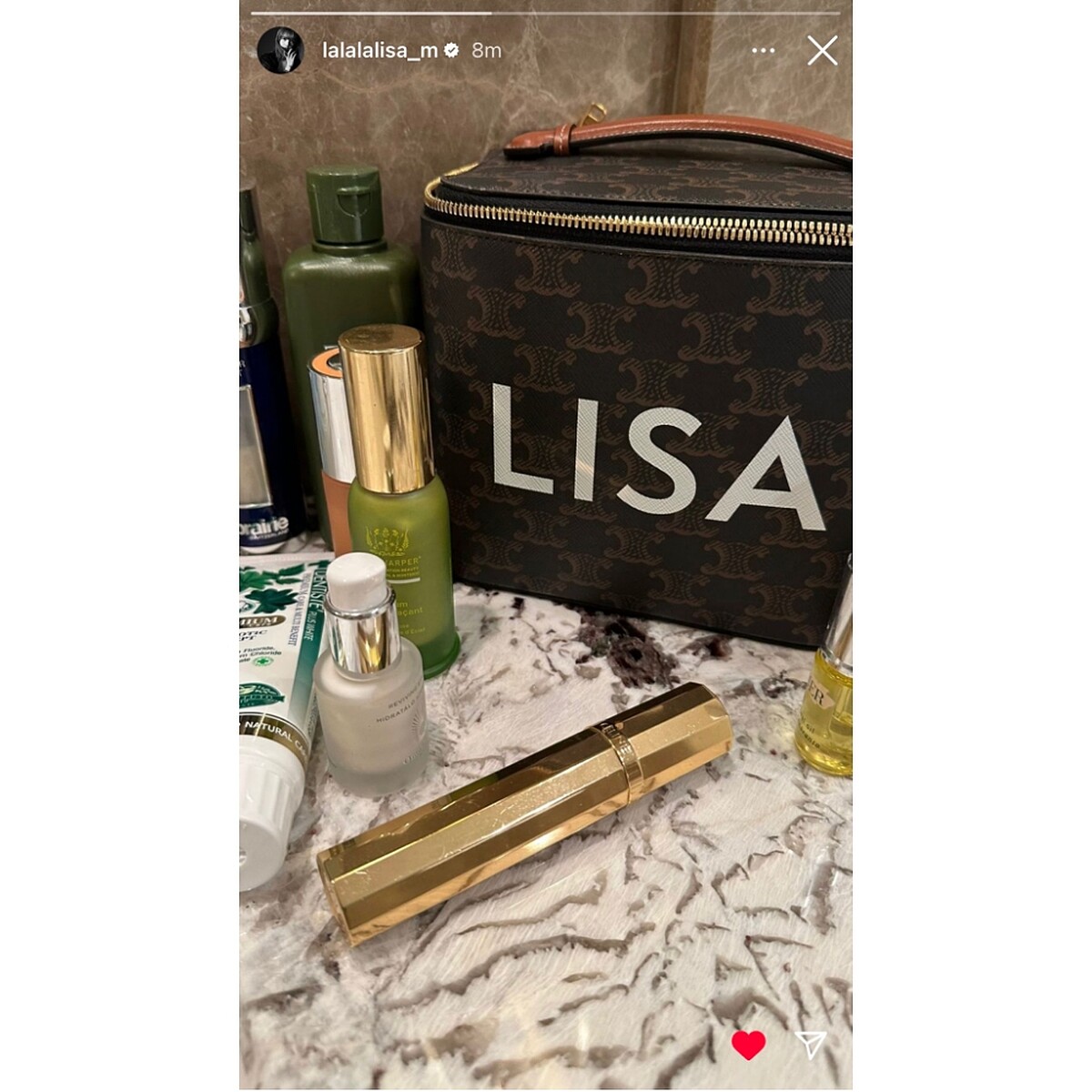 BLACKPINK成員Lisa在IG限時動態分享的畫面。