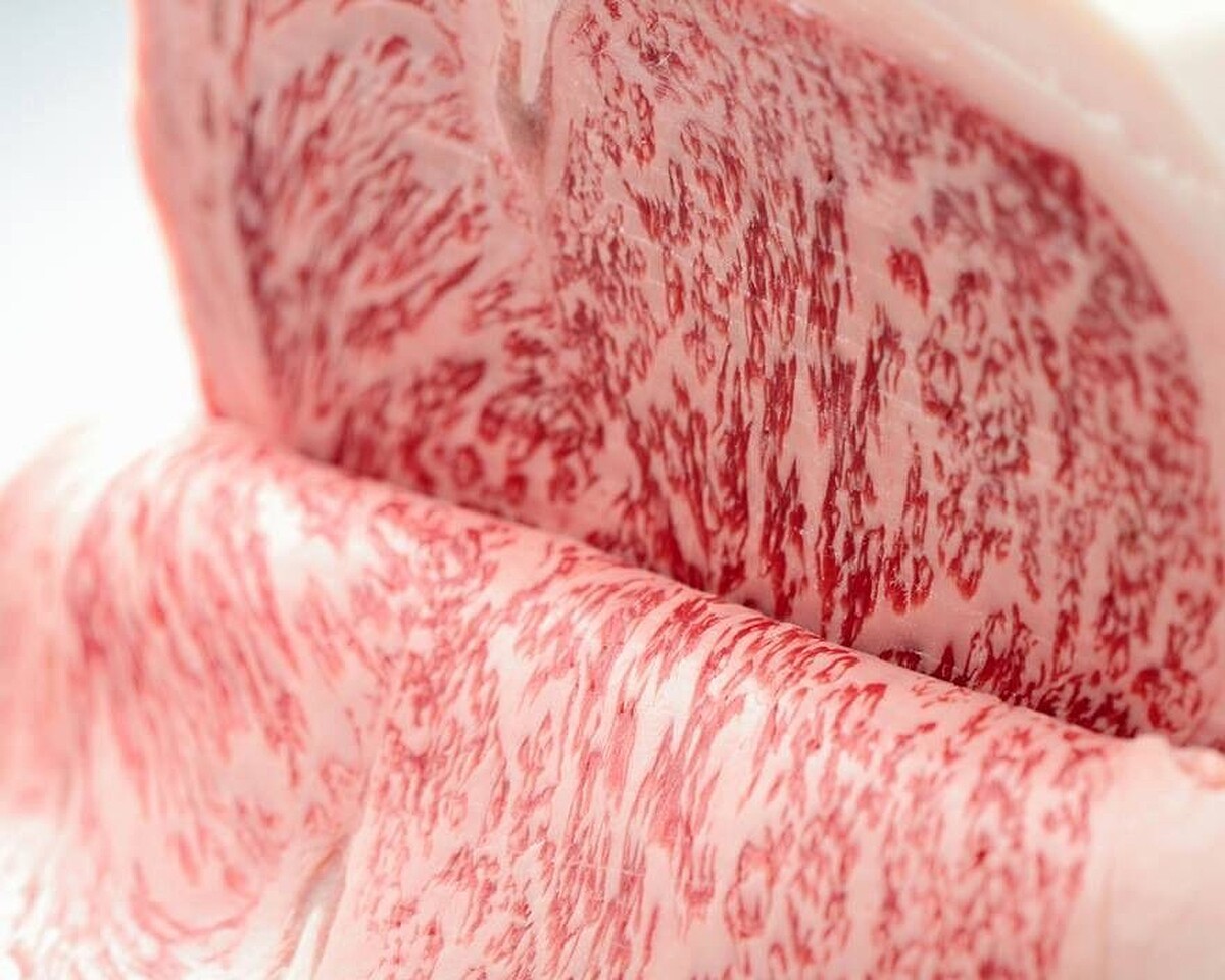 「尾崎牛」霜降油花與肉質比例完美。