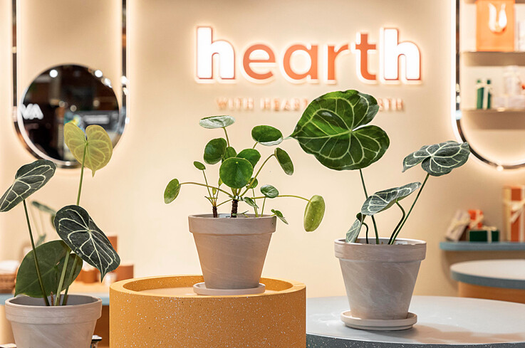 (中)鏡面草NT1,680(植物+陶盆)、(右)圓葉花燭NT1,980(植物+陶盆)。