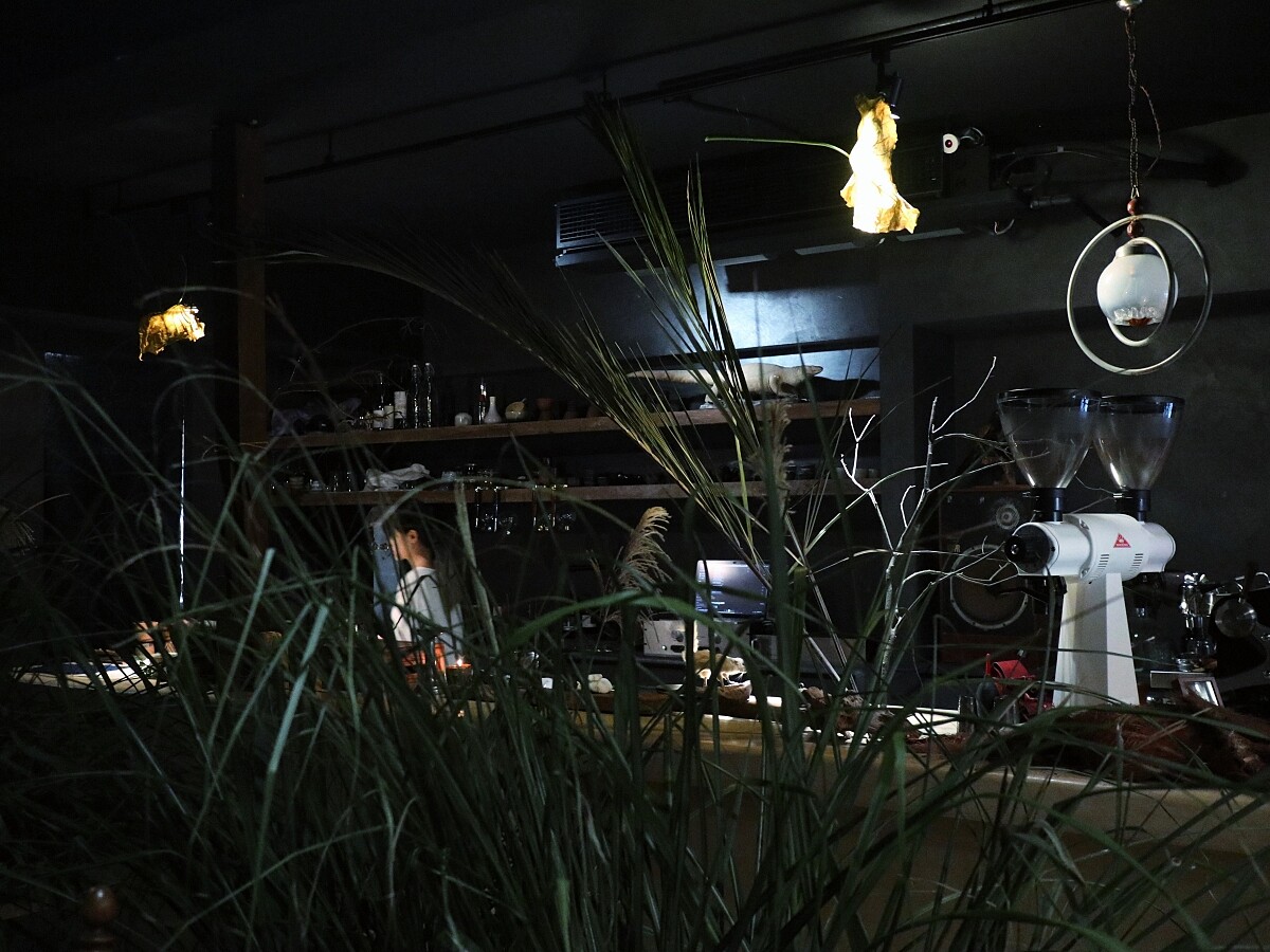 Z&Aacute;BU 空間。