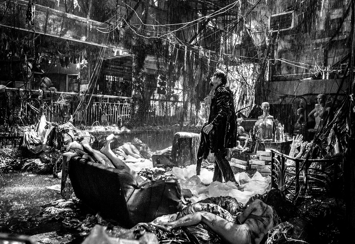 《智齒》林家棟