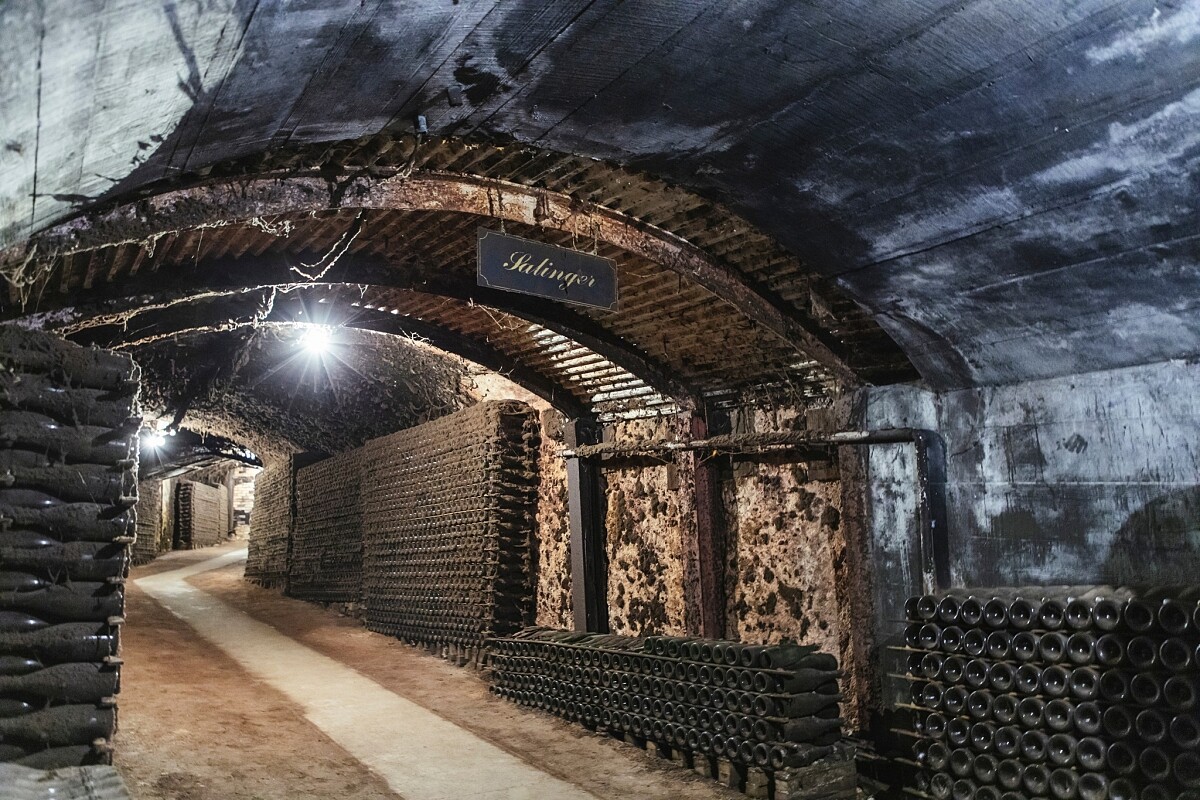 酒窖 The Drives 總長達3公里。