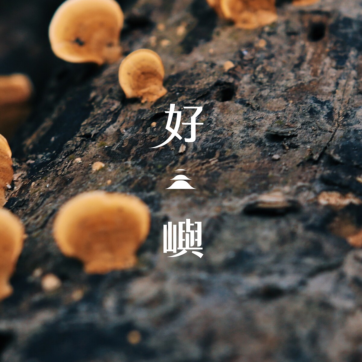 好嶼秋季菜單主視覺。