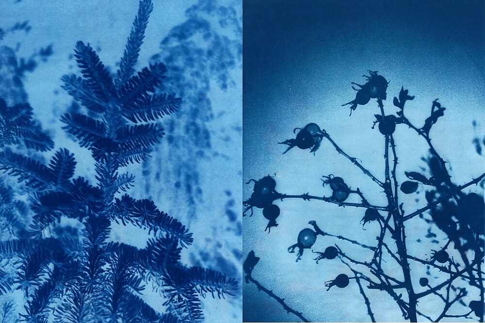 (左)L:A BRUKET 2022聖誕限量經典身體保養組(雲杉)藍晒圖、(右)明星唇部護理組藍晒圖。