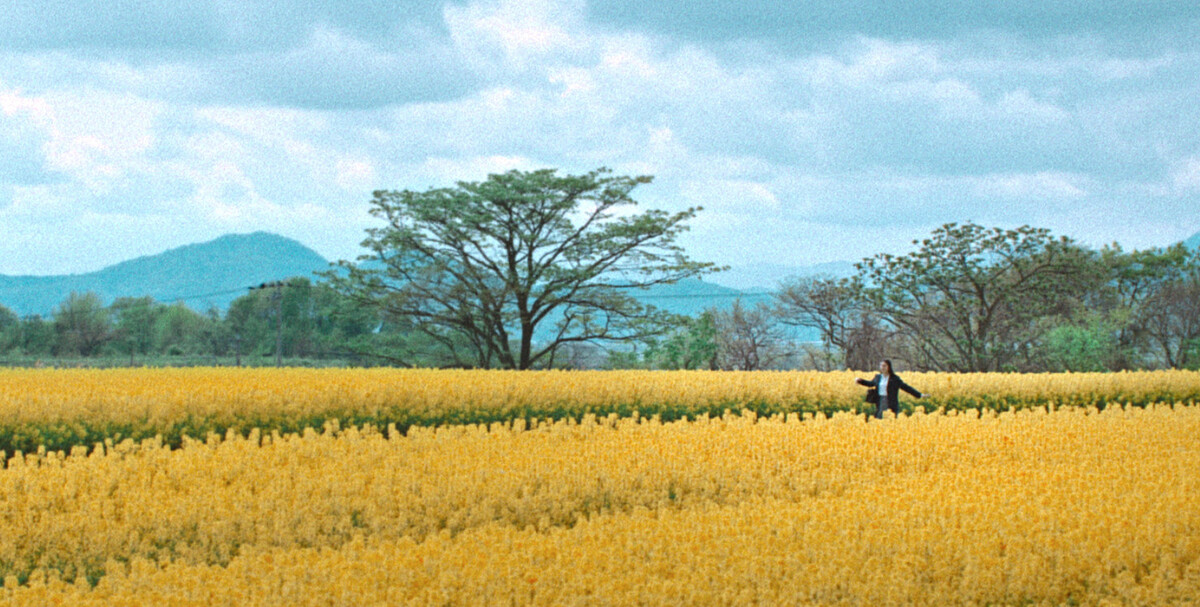 《First Love 初戀》美景盡收眼底