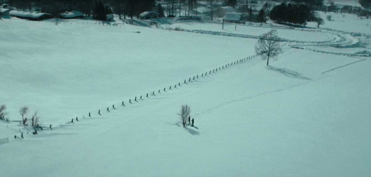 《First Love 初戀》自然意象互映角色內心