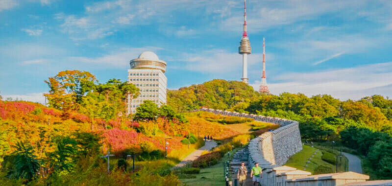 圖/首爾南山公園官方網站