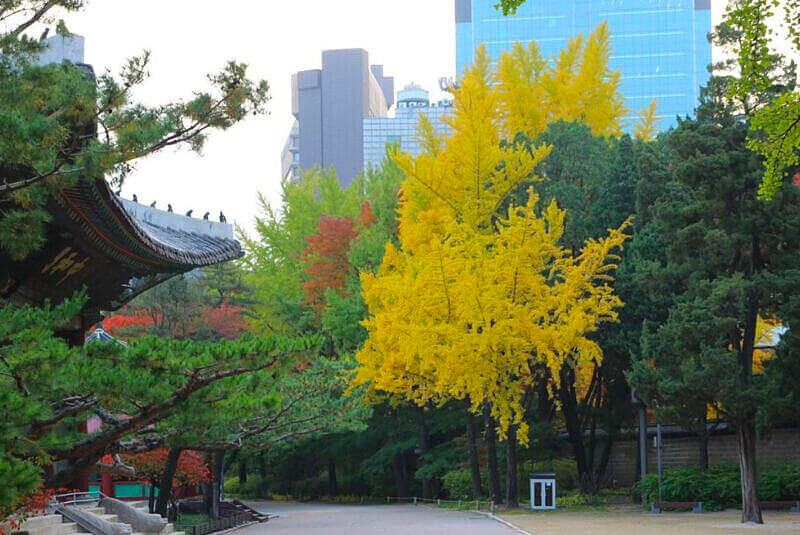 圖/德壽宮官方Instergram