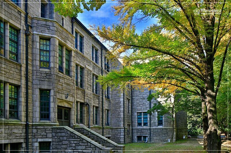 圖/梨花女子大學官方臉書