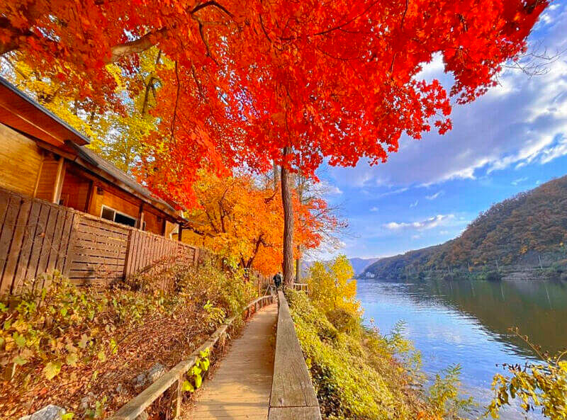 圖/南怡島官方Instergram