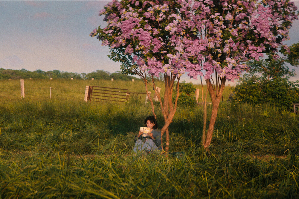 Netflix日劇《First Love初戀》出現許多紫丁香畫面(Photo/Netflix)。