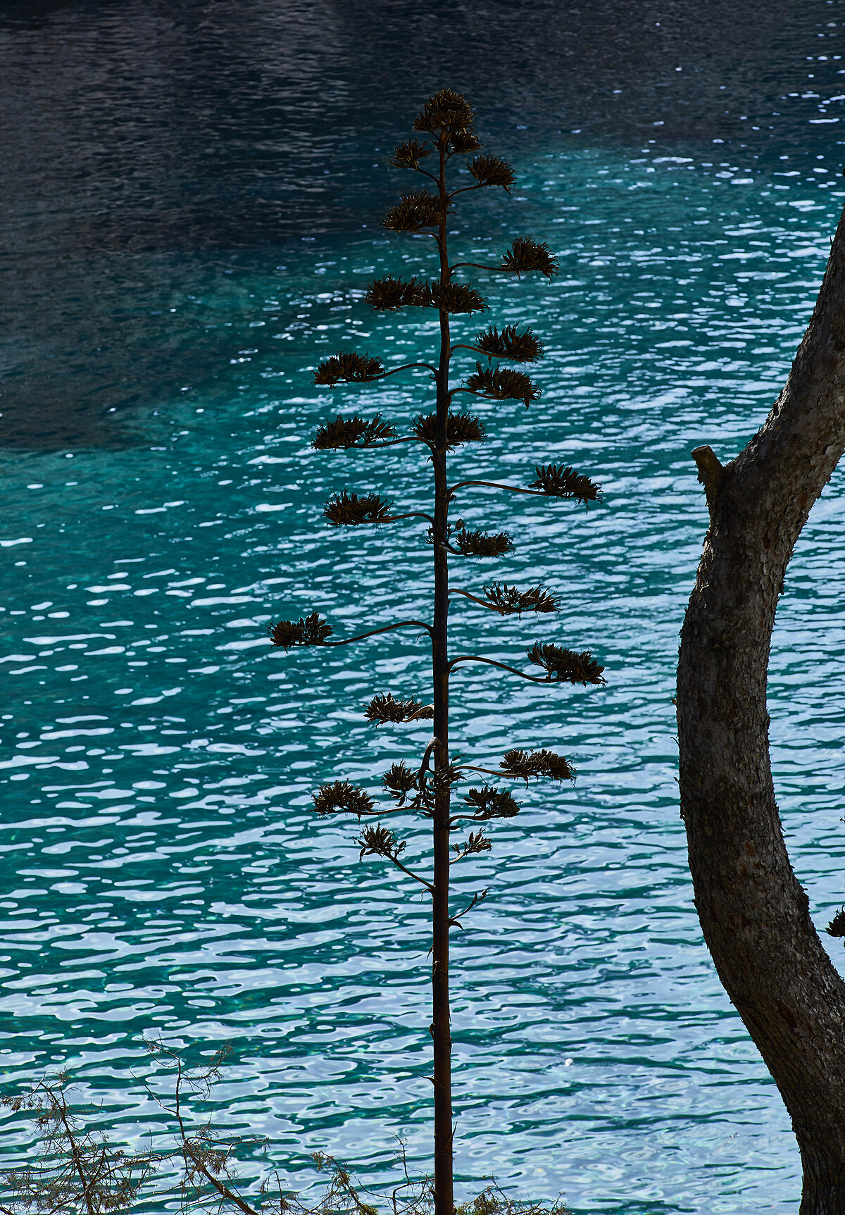 「如果沒有地中海，很難想象我的生活會是什麼樣子。我熱愛它的氣息，柑橘的味道和那種清新的感覺。」RAFAEL NADAL N&deg;1 香水與RAFAEL NADAL N&deg;2香水的設計靈感，源自於地中海，是納達爾與故鄉及自然情感連結的美好記憶。