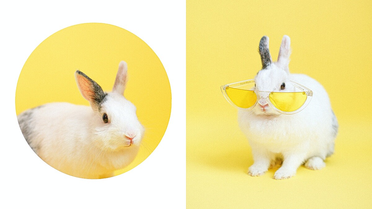 2023兔年祝福吉祥話有哪些？超好用60+新年創意諧音梗、拜年祝賀詞、英文版一次看