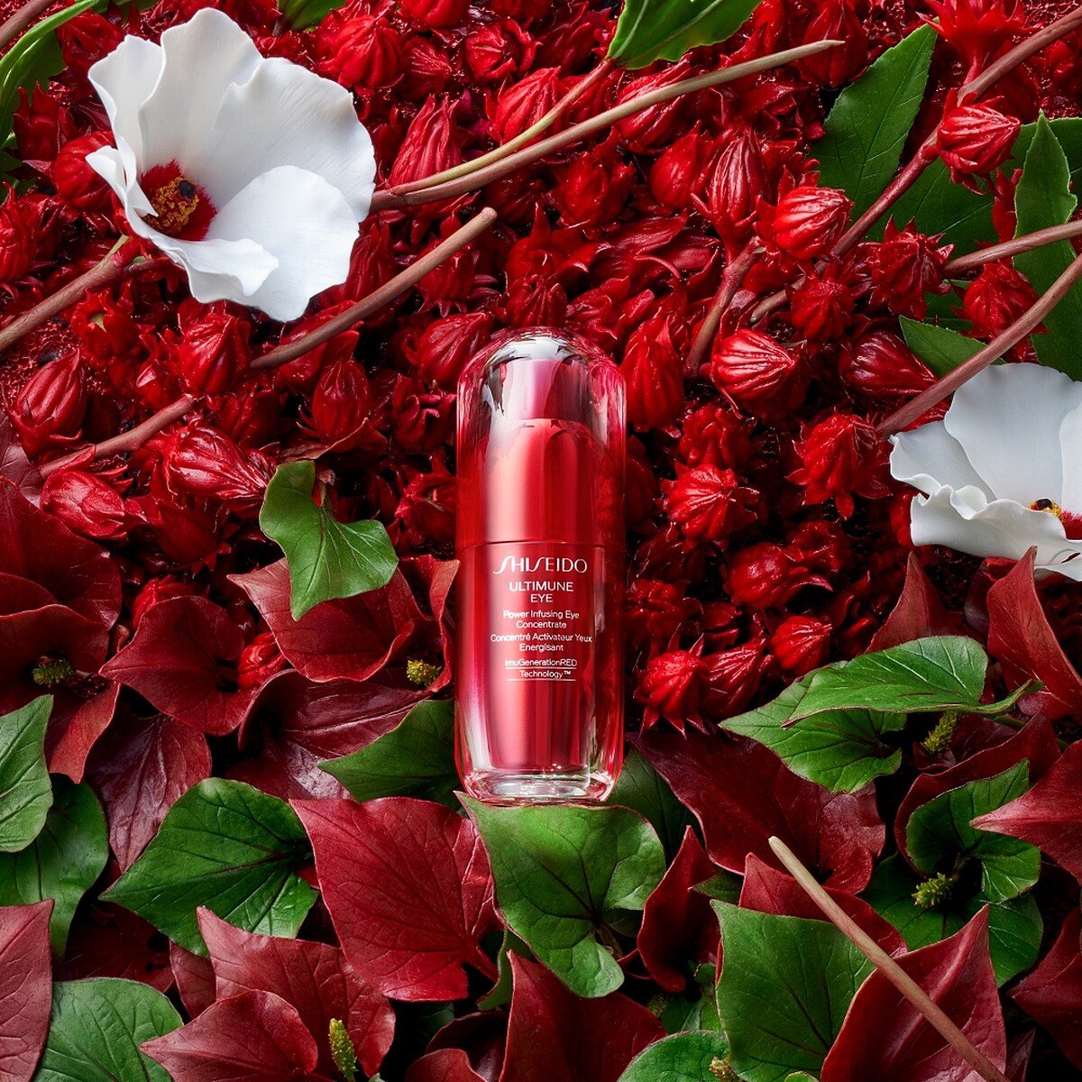 資生堂國際櫃紅妍超導循環眼部精華情境圖。