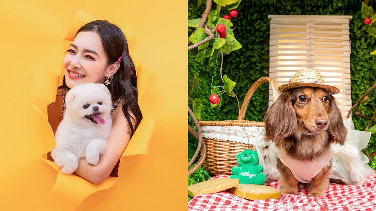 寵物旅遊實境節目《萌寵明星粗乃玩》第二季開播！王思佳攜愛犬來報到，吳姍儒允諾錄完才去生小孩 