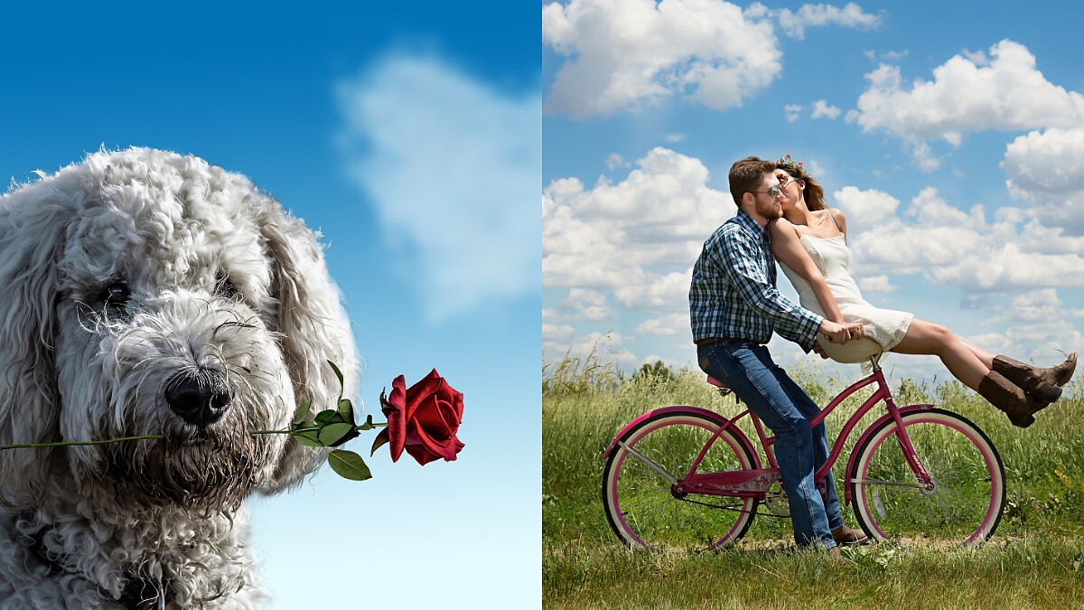 2023新年願望!台灣網友心中新年願望大盤點,國外網友新年願望這樣許