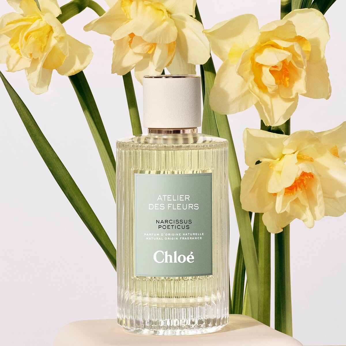Chloé Atelier des Fleurs仙境花園香水春日水仙Narcissus Poeticus 50ml，NT5,900、150ml，NT10,200
