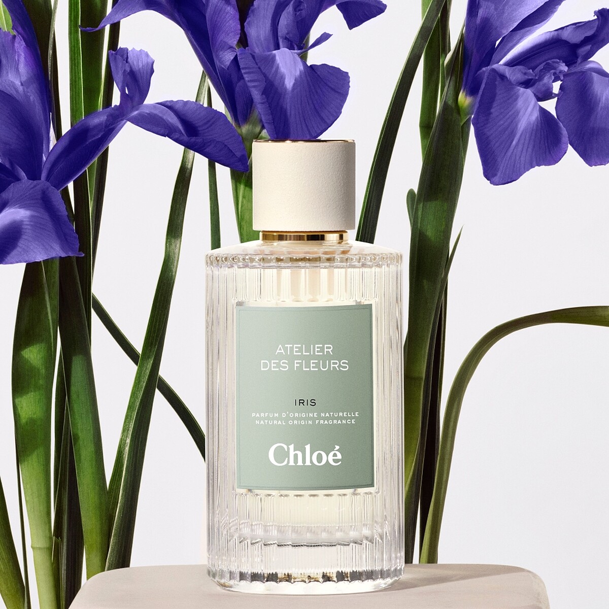 Chloé Atelier des Fleurs仙境花園香水鳶尾花之心(鳶尾嵐山)Iris 50ml，NT5,900、150ml，NT10,200