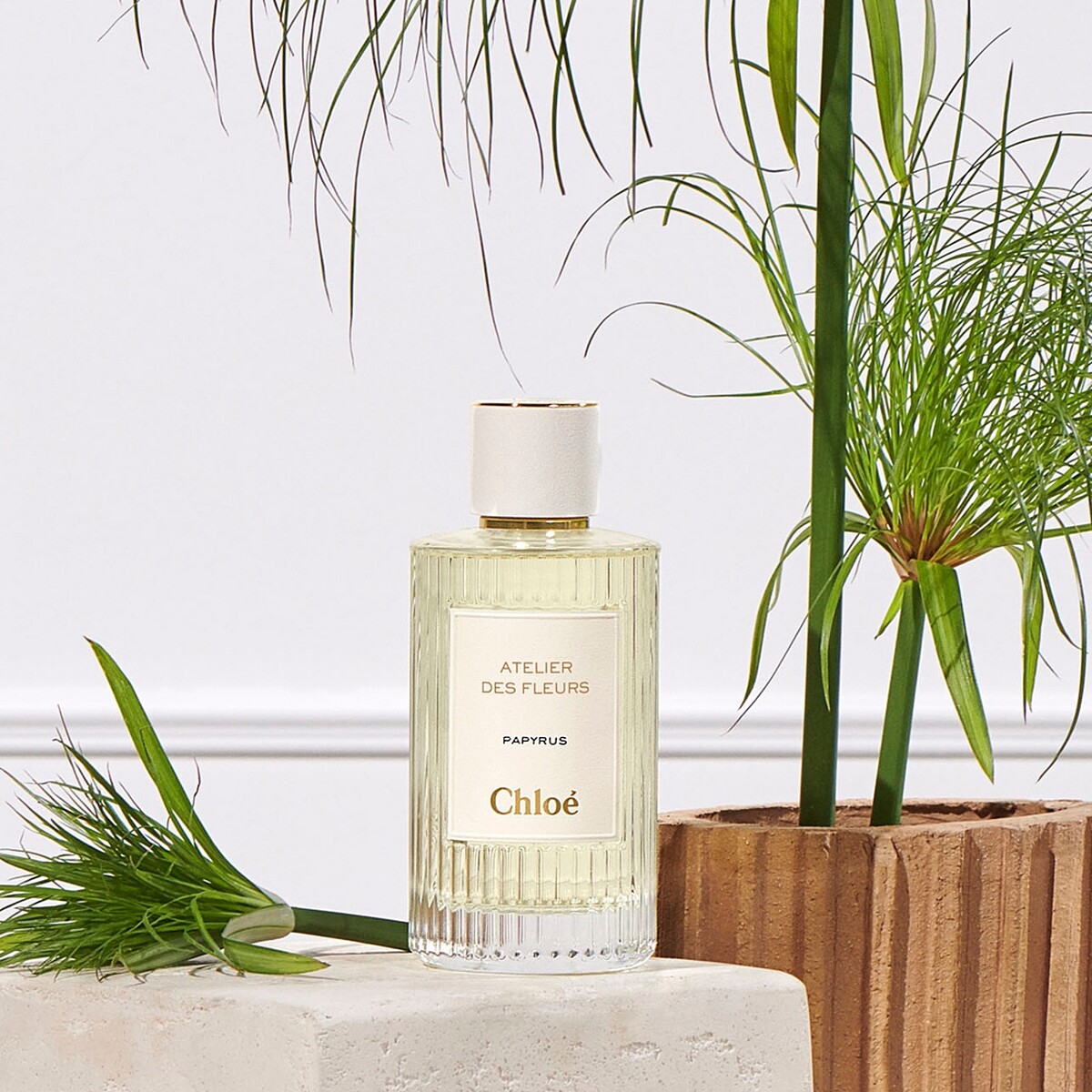 Chloé Atelier des Fleurs仙境花園香水中性紙莎草(纸莎草秘境)Papyrus 50ml，NT5,000、150ml，NT8,900