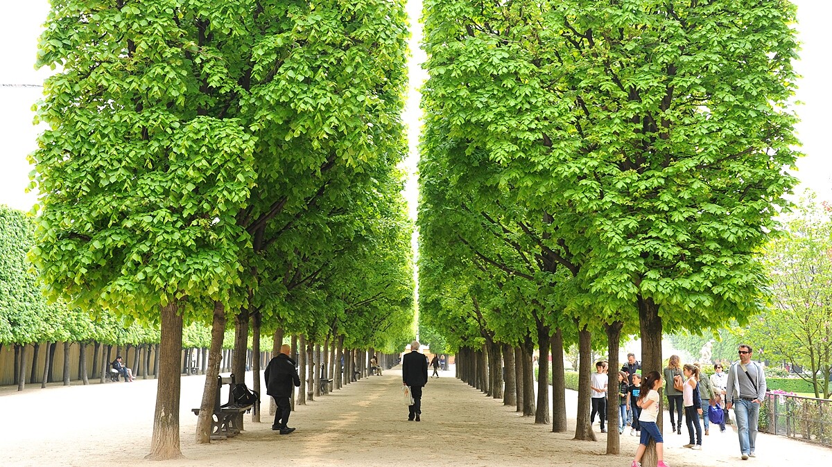 皇家宮殿與花園Palais Royal & Jardin du Palais Roya