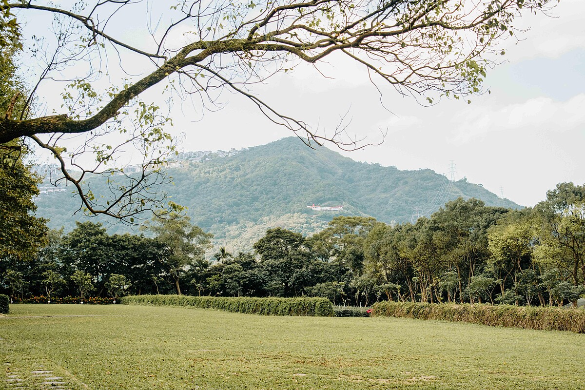 新北市新店文山農場