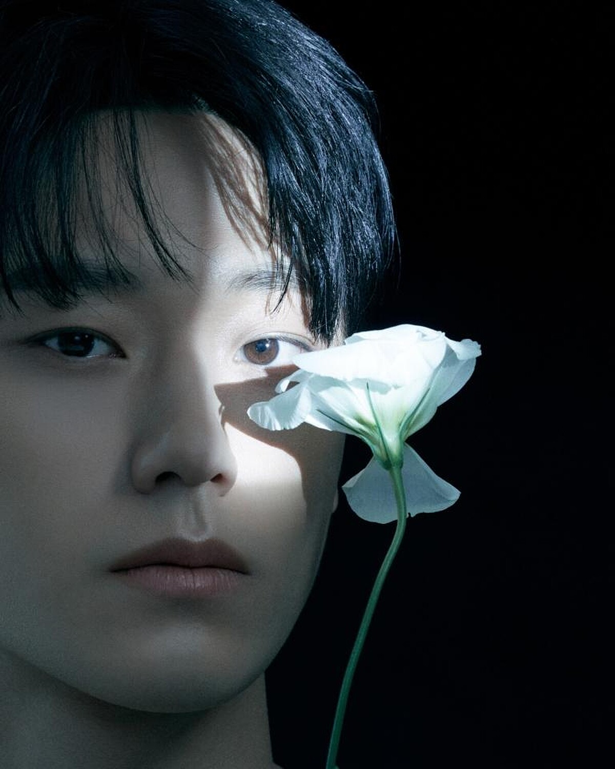 《黑暗榮耀》宋慧喬、林智妍、李到晛領銜主演